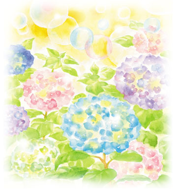 flora-ajisai.jpg